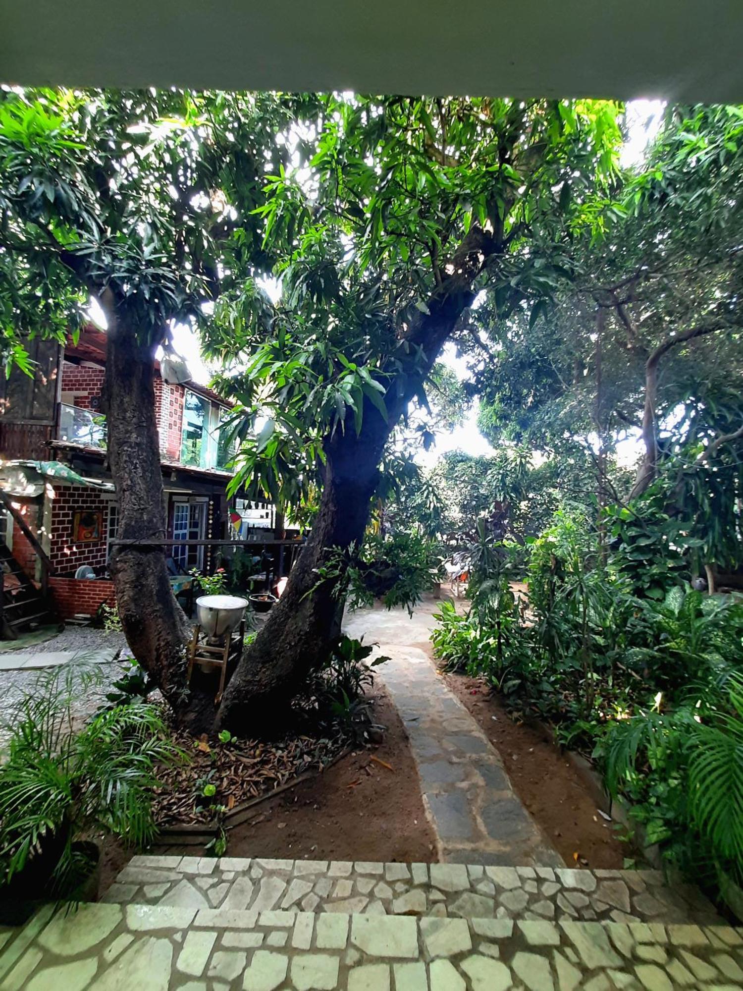 Casa De Temporada Das Mangueiras Olinda Ngoại thất bức ảnh