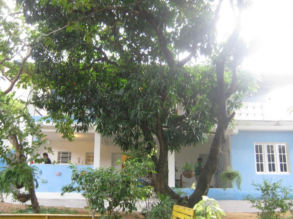 Casa De Temporada Das Mangueiras Olinda Phòng bức ảnh